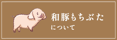 和豚もちぶたについて